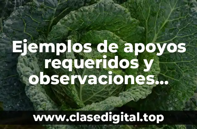 Ejemplos de apoyos requeridos y observaciones generales en primaria