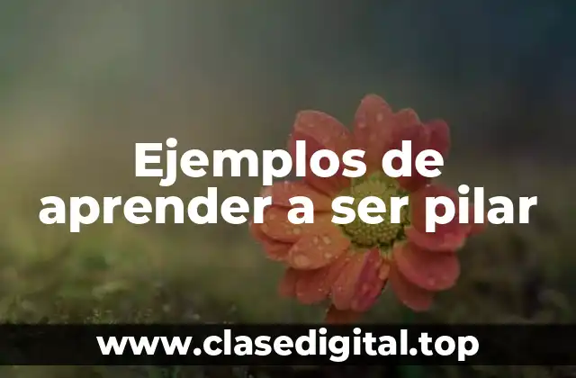 Ejemplos de aprender a ser pilar
