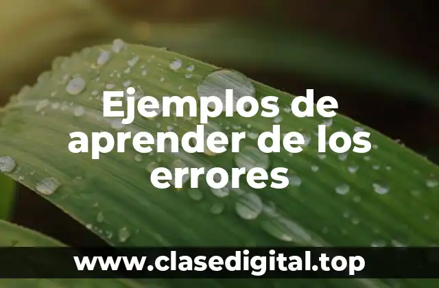 Ejemplos de aprender de los errores