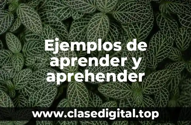 Ejemplos de aprender y aprehender