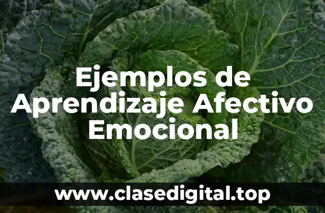 Ejemplos de Aprendizaje Afectivo Emocional