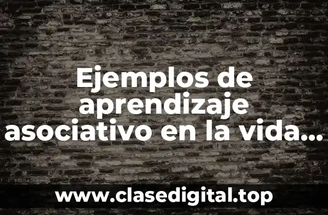 Ejemplos de aprendizaje asociativo en la vida cotidiana