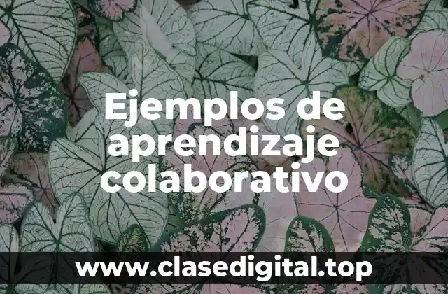 Ejemplos de aprendizaje colaborativo