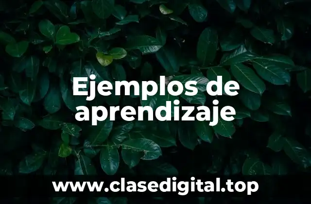Ejemplos de aprendizaje