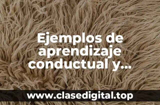 Ejemplos de aprendizaje conductual y Significado