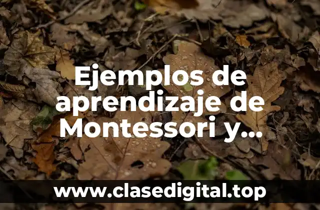 Ejemplos de aprendizaje de Montessori