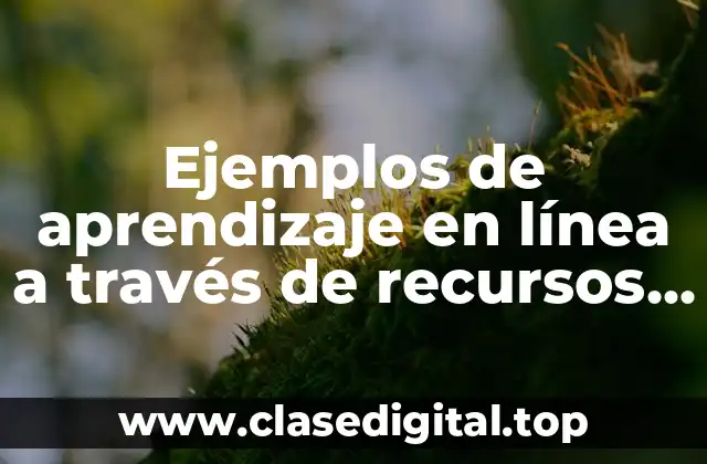 Ejemplos de aprendizaje en línea a través de recursos humanos