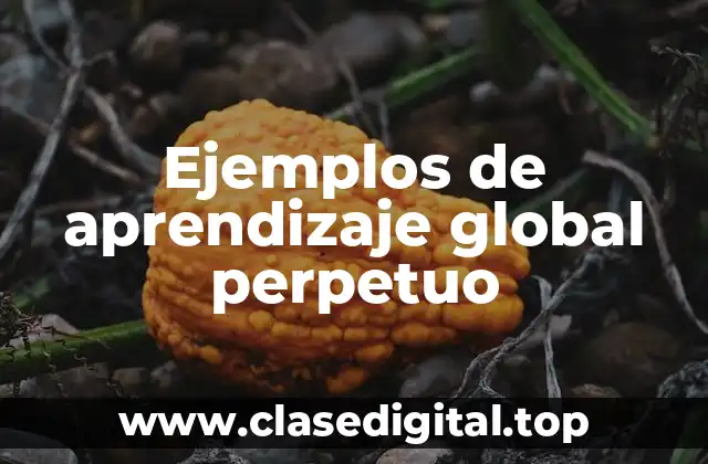 Ejemplos de aprendizaje global perpetuo