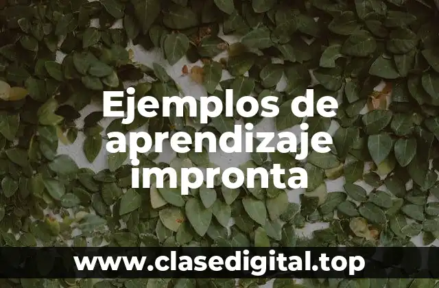 Ejemplos de aprendizaje impronta