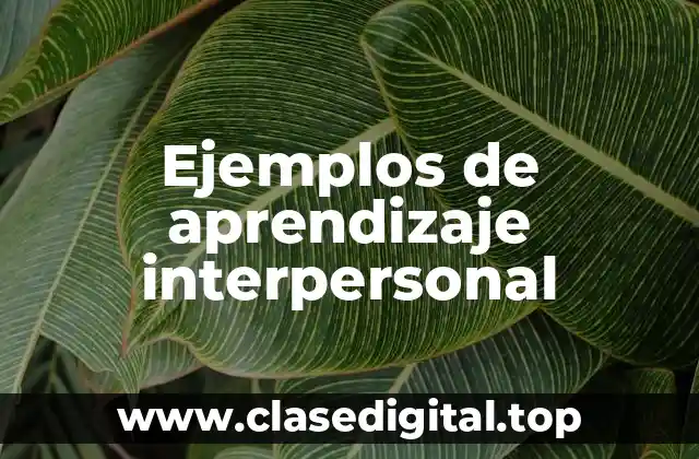 Ejemplos de aprendizaje interpersonal