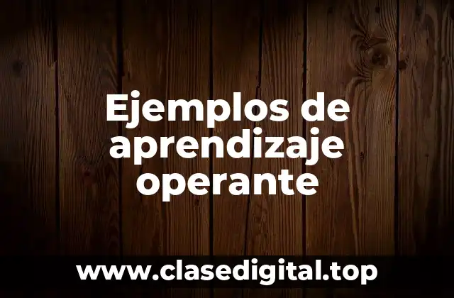 Ejemplos de aprendizaje operante