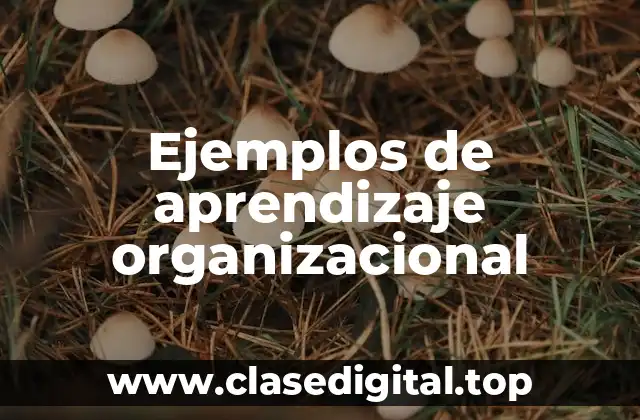 Ejemplos de aprendizaje organizacional