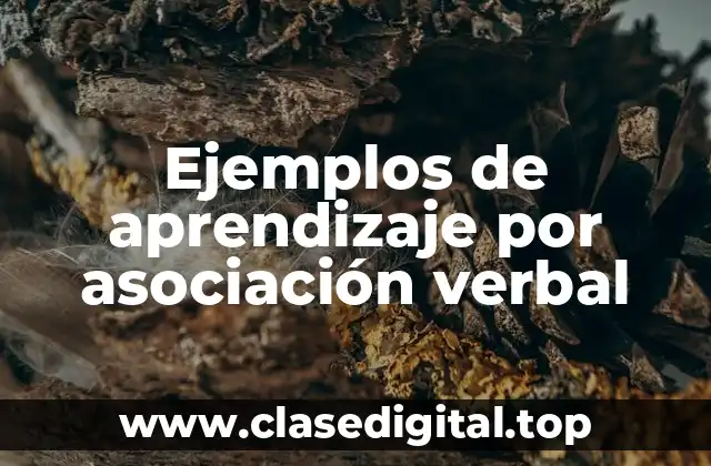 Ejemplos de aprendizaje por asociación verbal