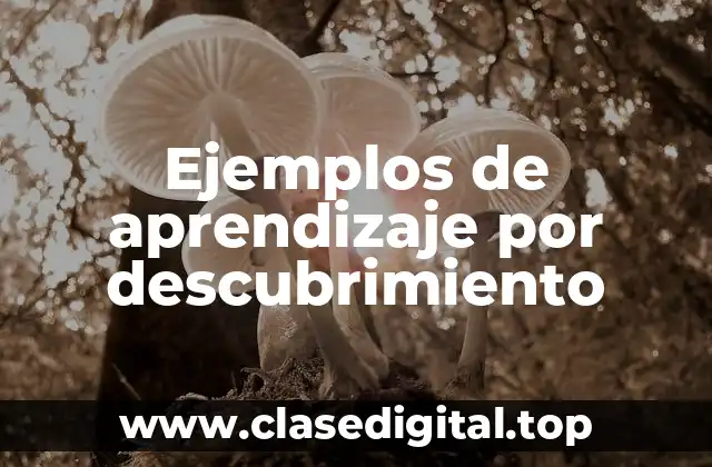 Ejemplos de aprendizaje por descubrimiento