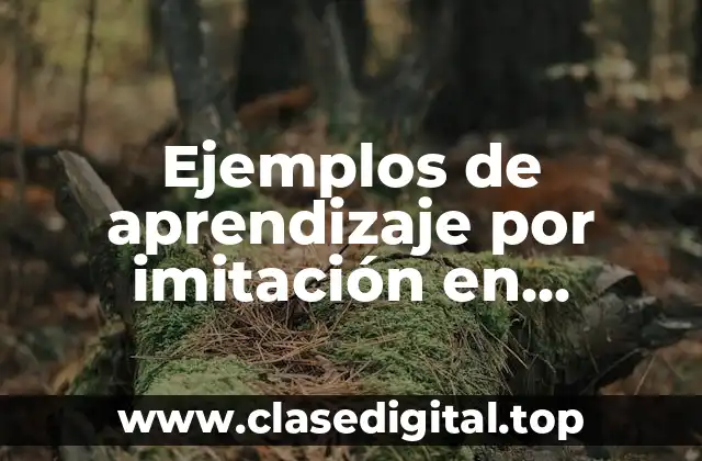 Ejemplos de aprendizaje por imitación en animales