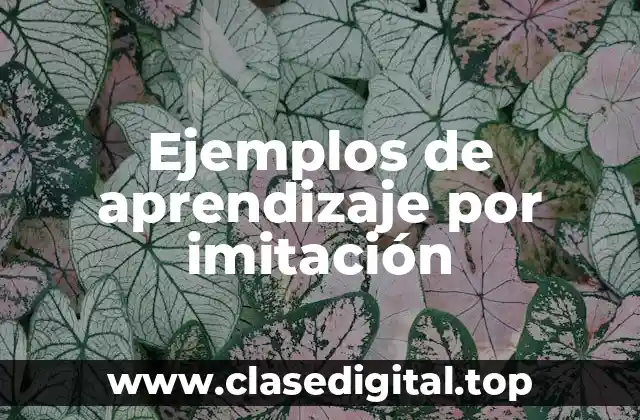 Ejemplos de aprendizaje por imitación