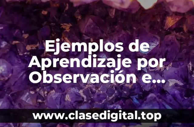 Ejemplos de Aprendizaje por Observación e Imitación