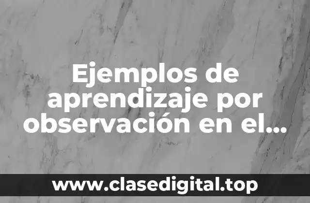 Ejemplos de aprendizaje por observación en el aula