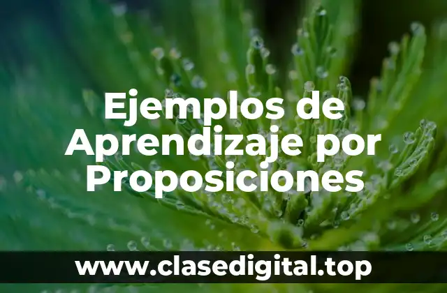Ejemplos de Aprendizaje por Proposiciones