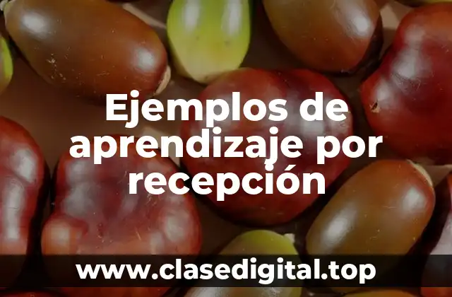 Ejemplos de aprendizaje por recepción