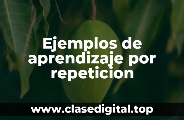 Ejemplos de aprendizaje por repeticion
