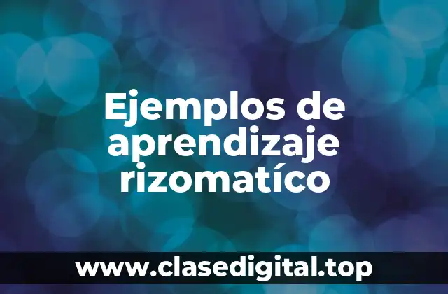 Ejemplos de aprendizaje rizomatíco