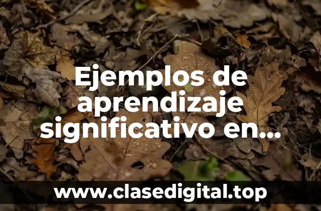 Ejemplos de aprendizaje significativo en secundaria