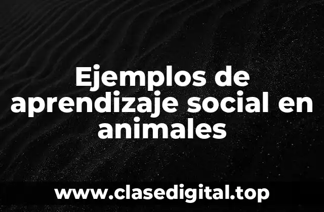 Ejemplos de aprendizaje social en animales