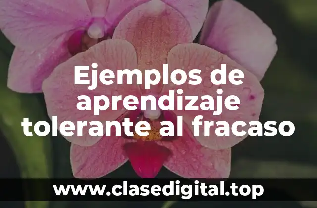 Ejemplos de aprendizaje tolerante al fracaso