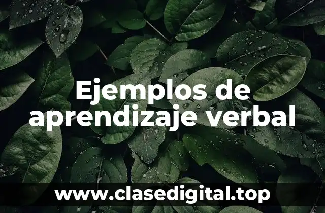 Ejemplos de aprendizaje verbal