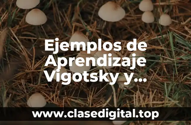 Ejemplos de Aprendizaje Vigotsky y Significado