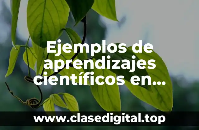 Ejemplos de aprendizajes científicos en humanos