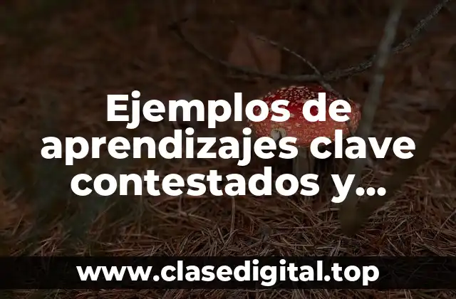 Ejemplos de aprendizajes clave contestados y Significado