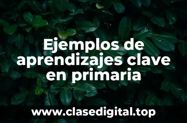Ejemplos de aprendizajes clave en primaria