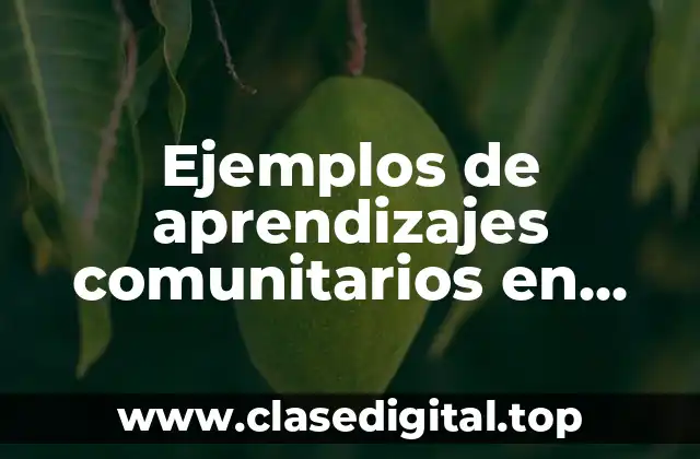 Ejemplos de aprendizajes comunitarios en secundaria