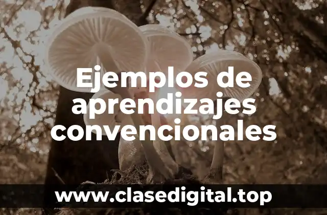 Ejemplos de aprendizajes convencionales