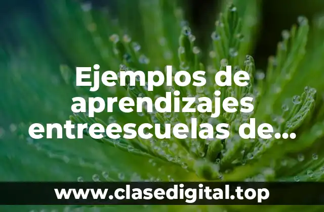 Ejemplos de aprendizajes entreescuelas de tercera sesión