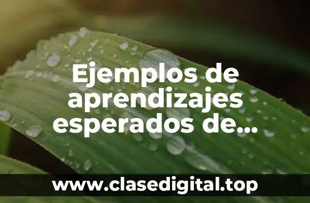 Ejemplos de aprendizajes esperados de elementos de la comunicación