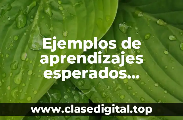 Ejemplos de aprendizajes esperados matemáticas