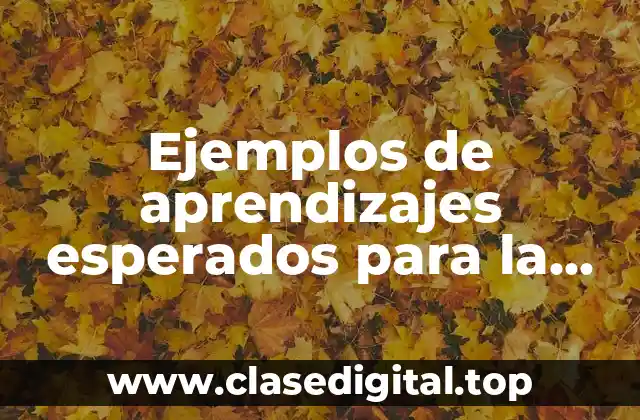 Ejemplos de aprendizajes esperados para la materia gestion escolar