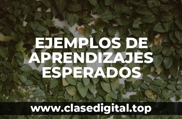 EJEMPLOS DE APRENDIZAJES ESPERADOS