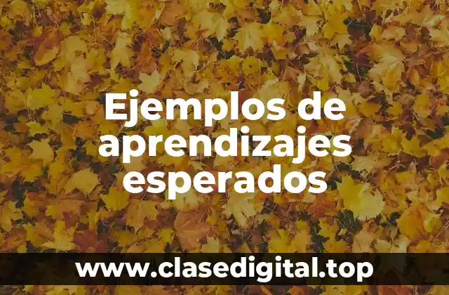 Ejemplos de aprendizajes esperados