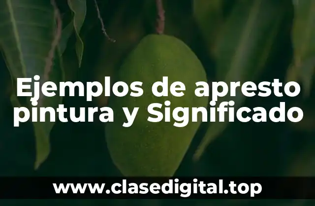 Ejemplos de apresto pintura y Significado