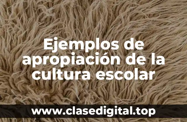 Ejemplos de apropiación de la cultura escolar