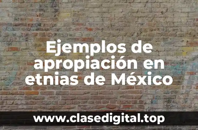 Ejemplos de apropiación en etnias de México