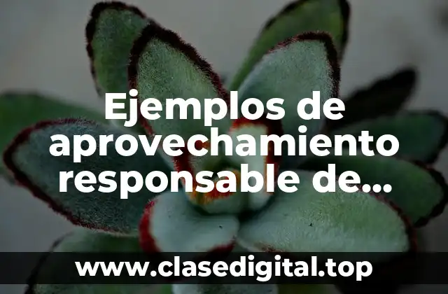 Ejemplos de aprovechamiento responsable de recursos naturales