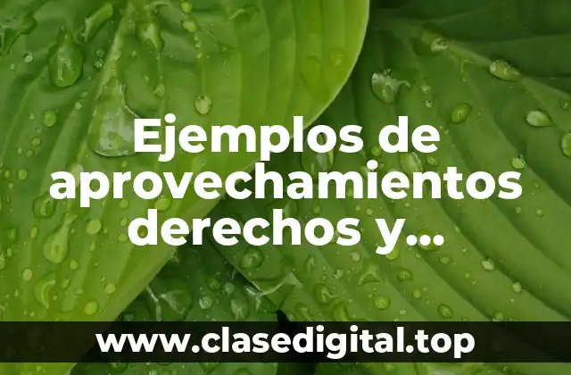 Ejemplos de aprovechamientos derechos y productos