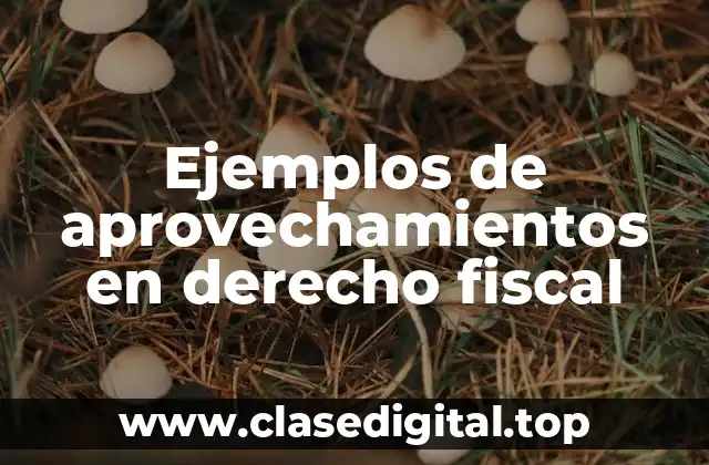 Ejemplos de aprovechamientos en derecho fiscal