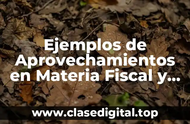 Ejemplos de Aprovechamientos en Materia Fiscal y Significado