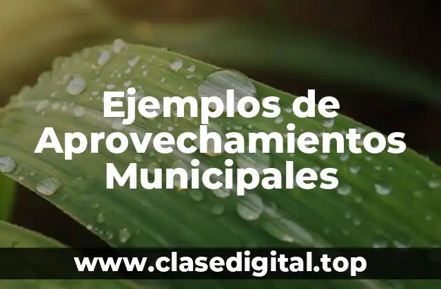 Ejemplos de Aprovechamientos Municipales